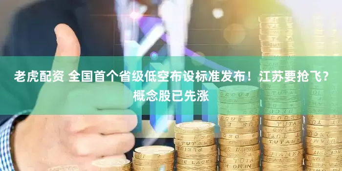 老虎配资 全国首个省级低空布设标准发布！江苏要抢飞？概念股已先涨