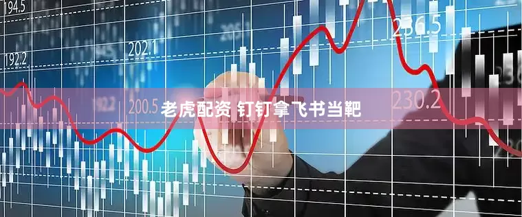老虎配资 钉钉拿飞书当靶