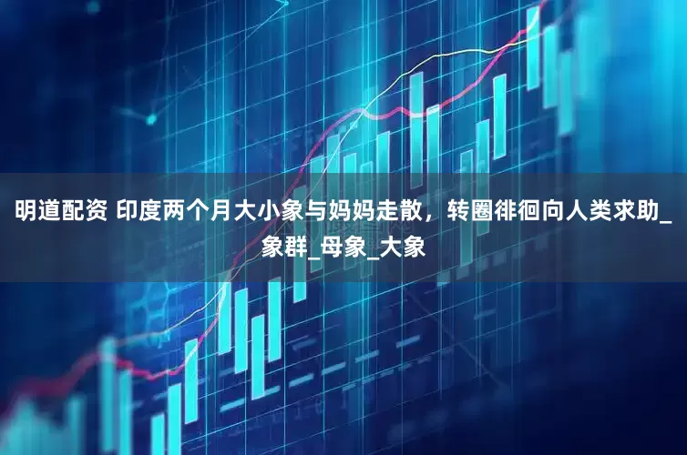 明道配资 印度两个月大小象与妈妈走散，转圈徘徊向人类求助_象群_母象_大象