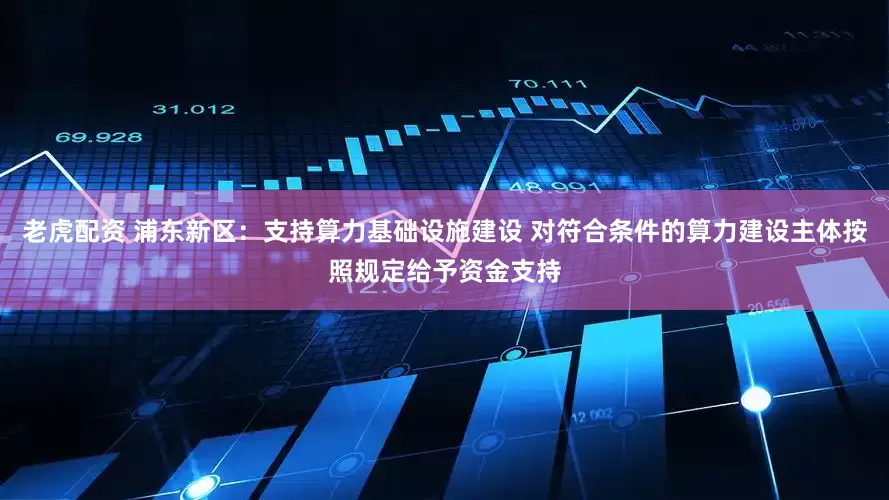 老虎配资 浦东新区：支持算力基础设施建设 对符合条件的算力建设主体按照规定给予资金支持