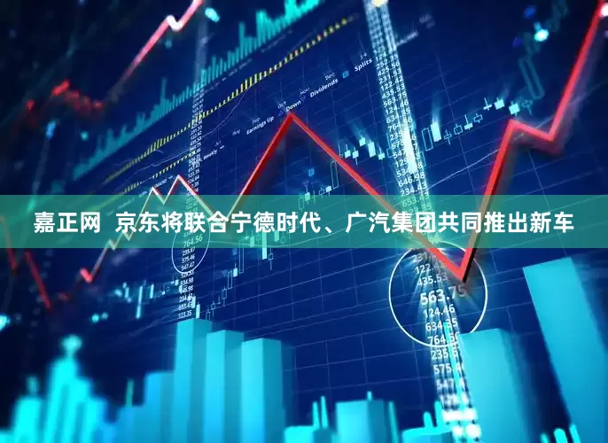 嘉正网  京东将联合宁德时代、广汽集团共同推出新车