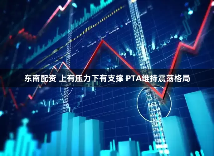 东南配资 上有压力下有支撑 PTA维持震荡格局