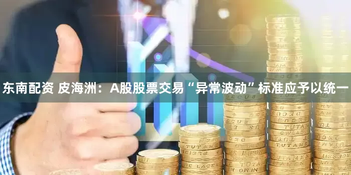 东南配资 皮海洲：A股股票交易“异常波动”标准应予以统一